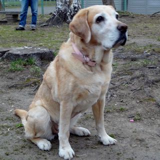 DSC01109 (640x640).jpg